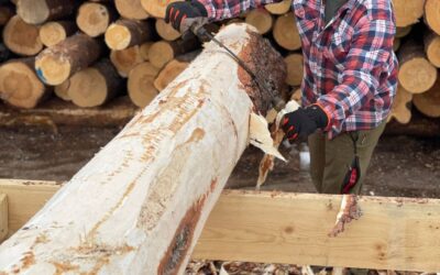 Puutyöt ja puun käsittely